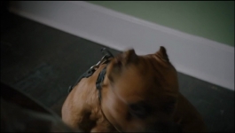 Law and Order Organized Crime - Season 03 Episode 12